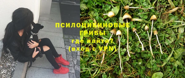 a pvp Артём