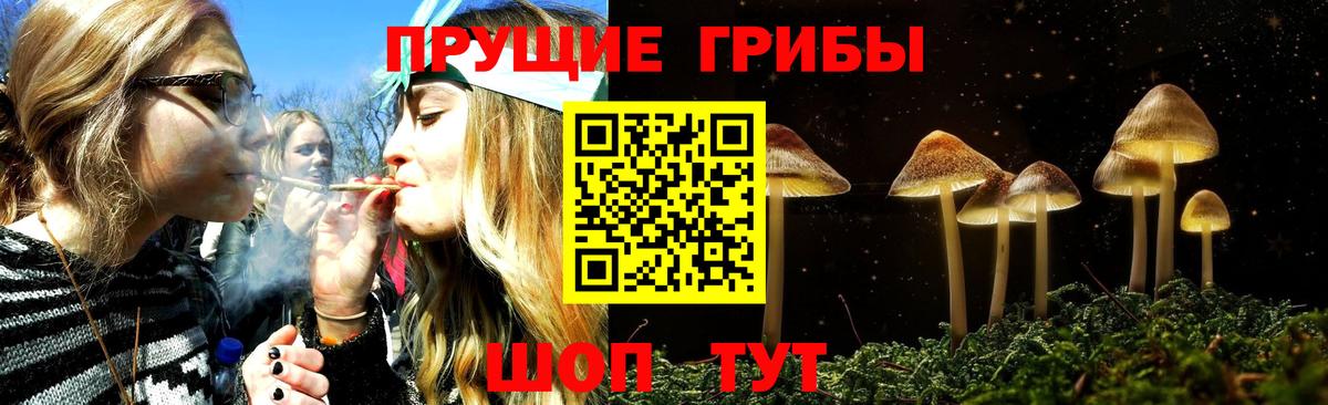 Галлюциногенные грибы мицелий  Симферополь 